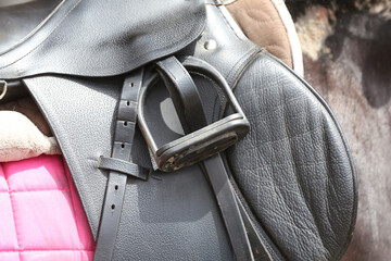 On the back of the horse, a brown leather saddle