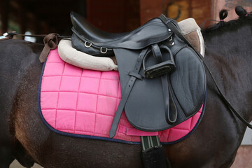 On the back of the horse, a brown leather saddle