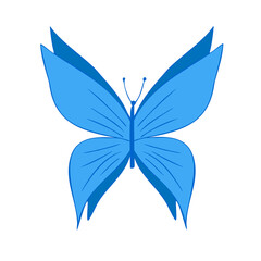 Blue butterfly, vector illustration, icon. Butterfly with open wings, top view