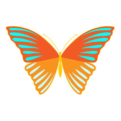 Orange butterfly, vector illustration, icon. Butterfly with open wings, top view.