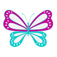 Colored Butterfly , vector illustration, icon. Butterfly with open wings, top view.
