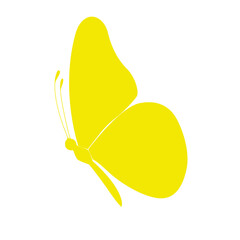 Colored Butterfly , vector illustration, icon.Template for printing , vector illustration, icon.