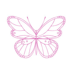 Butterfly contour vector drawing. Insect butterfly coloring book.