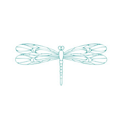Obraz na płótnie Canvas Dragonfly contour vector drawing. Insect dragonfly coloring book. EPS 10 Template
