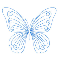 Butterfly contour vector drawing. Insect butterfly coloring book.