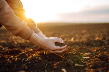 Male hands touching soil on the field. Agriculture, organic gardening, planting or ecology concept....