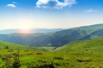 Fototapeta na wymiar Landscape panorama of the Carpathians mountains in Ukraine at sunrise in hot summe