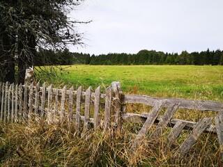 Obraz premium tara national park in serbia