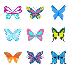 Obraz na płótnie Canvas A set of vector butterflies. Different colorful butterflies
