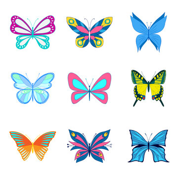 A set of vector butterflies. Different colorful butterflies