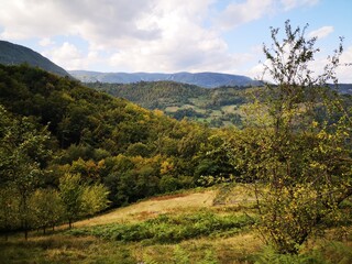 Tara National Park in Serbia