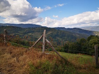 Tara National Park in Serbia