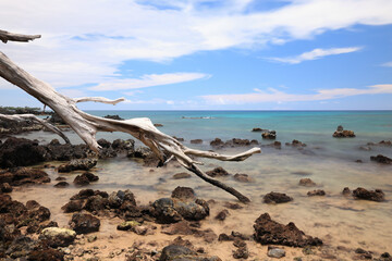 Fototapeta na wymiar Hawaii Island, Beach 67 Driftwood and Sea 