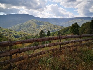 Fototapeta na wymiar Tara National Park in Serbia