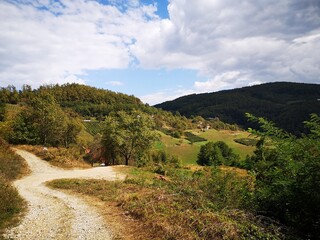 Fototapeta na wymiar Tara National Park in Serbia