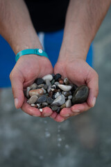 Seashells in male hands
