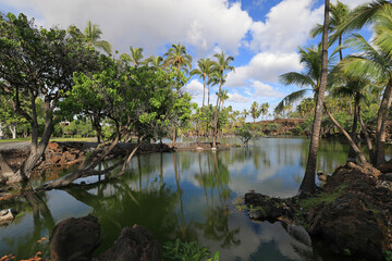 ish Pond in Kalahuipuaa Historical Park on the Big Island of Hawaii, one of the world's three largest power spots 