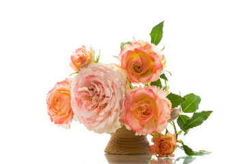 bouquet of beautiful roses isolated on white