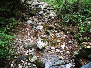 Fototapeta premium summer day in Bajina Basta Serbia