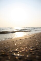 shells and sand in the rays of the setting sun on the ocean shore background