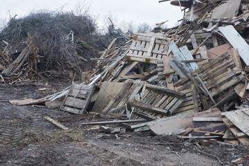 Woodworking waste dump. Mountains of sawdust, branches and trees. Environmental safety concept.