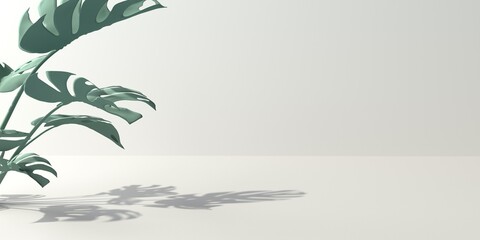 Tropical monstera leaves with shadow © Tierney