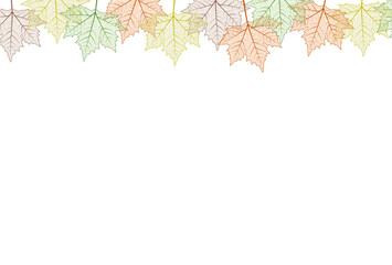 Maple tree leaf frame.  illustration. Autumn colors graphic card template top boarder.