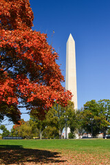 Washington Monument and autumn foliage  - Washington DC United States