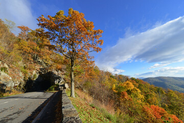 Mary's Rock Tunnel in autumn foliage in Shenandoah National Park - Virginia, United States