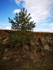 warm autumn day in zlatibor