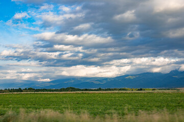 green field and sky