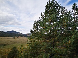 warm autumn day in zlatibor