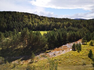 Fototapeta premium warm autumn day in zlatibor