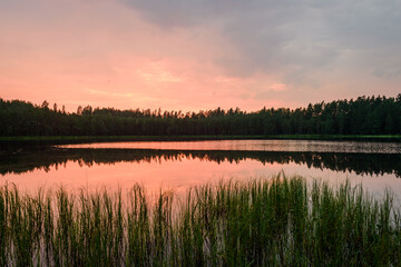 Sunset above lake in forest. Pilezers lake in Latvia.