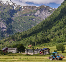 Fjaerland farm