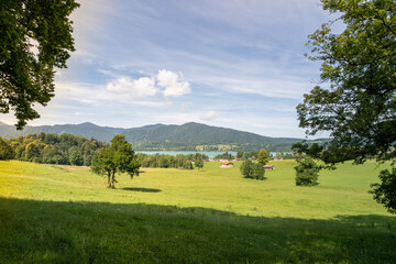 Fototapeta na wymiar Wonderful holiday view over a summer meadow in the recreation area of the bavarian Tegernsee.
