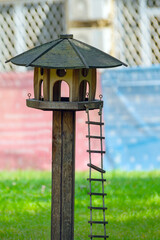 Feeder for squirrels on a pole with a rope ladder.