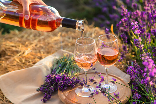 A woman holds wine in glasses. Picnic in the lavender field. Selective focus.