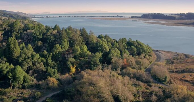 Aerial: flying over forest out to the Bolinas Lagoon & Stinson Beach. Marin County. San Francisco, USA