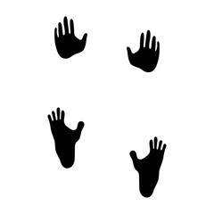 ゴリラの足跡