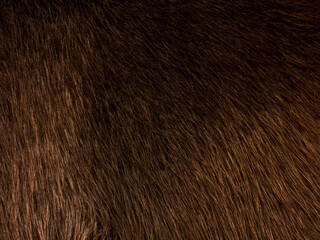 brown texture