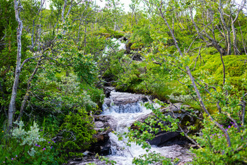 long-term photos of a river through stones and  the green nature in norway