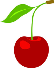 Cherry Illustration. Red Juicy cherry illustration.