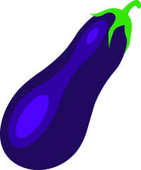 Eggplant Illustration. Healthy eggplant vegetable drawing.