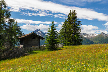 eine alte Berghütte inmitten einer wunderschönen Wiese im Hochtauern Nationalpark nahe Matrei, Osttirol Österreich