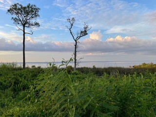 sunset over the nature preserves and bay water