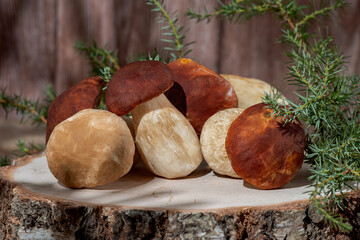 Fresh boletus mushrooms on a wooden background still life