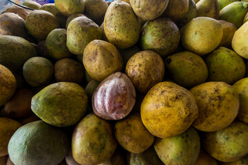 Fresh pomelo for sale