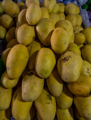 Yellow ripe mango for sale
