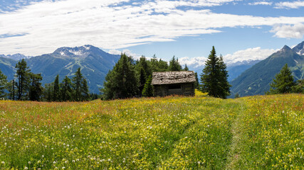 eine alte Berghütte inmitten einer wunderschönen Wiese im Hochtauern Nationalpark nahe Matrei, Osttirol Österreich